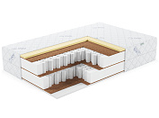 Премьер Тип 39 (Aloe vera)