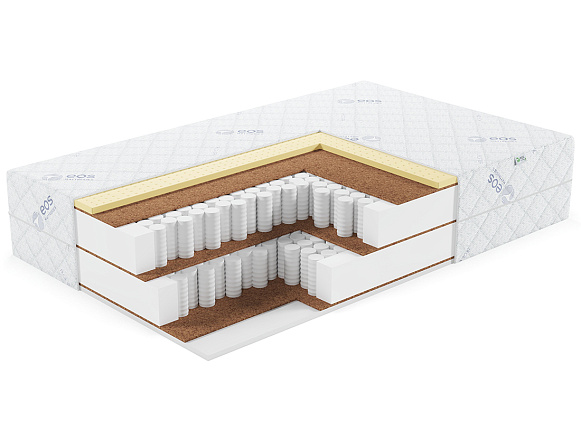 Премьер Тип 39 (Aloe vera)